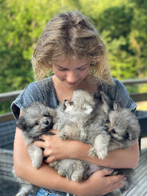 CHIOT 3